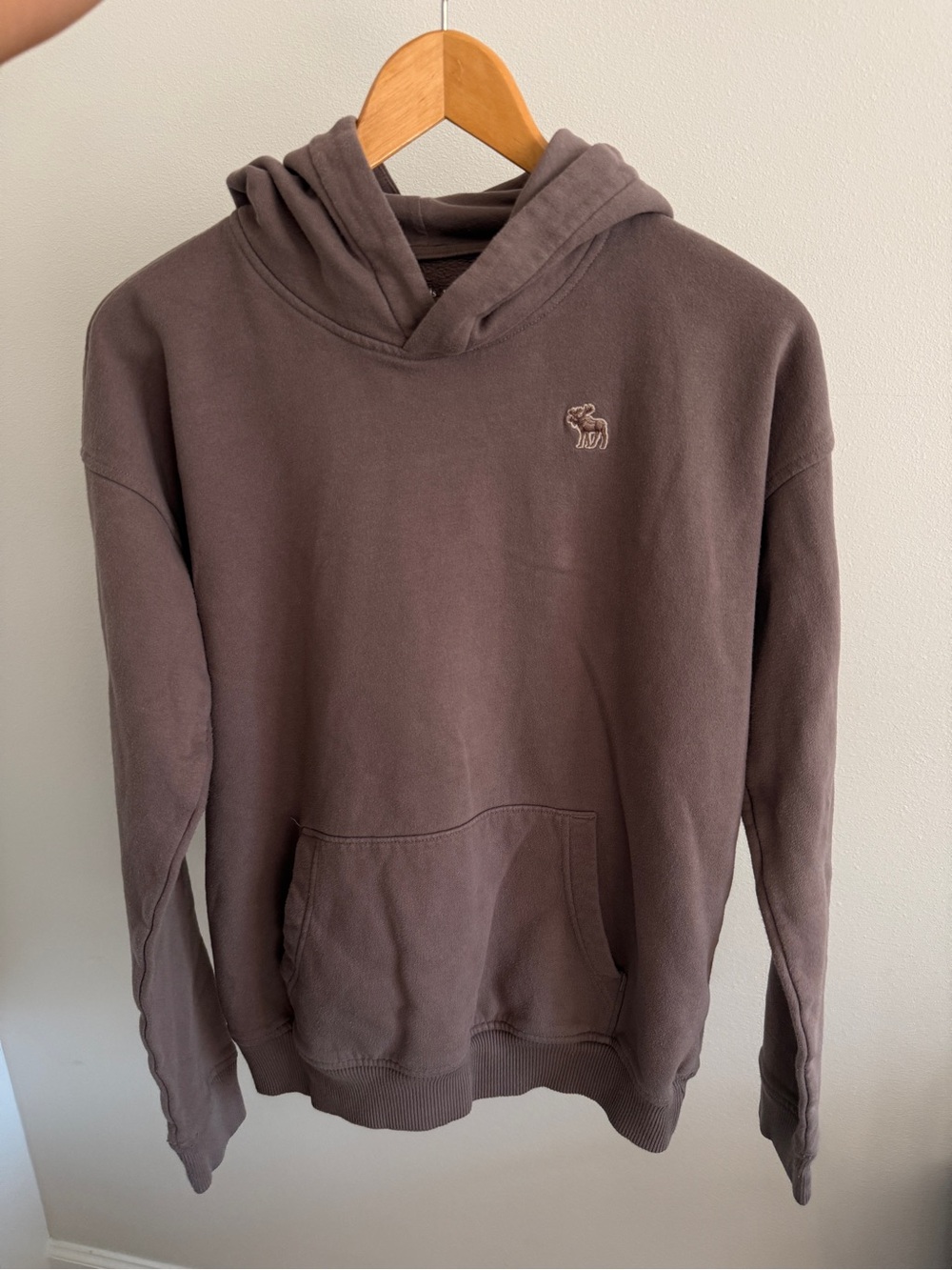 Abercrombie & Fitch Brown Hooded Sweatshirt with Embroidered Moose